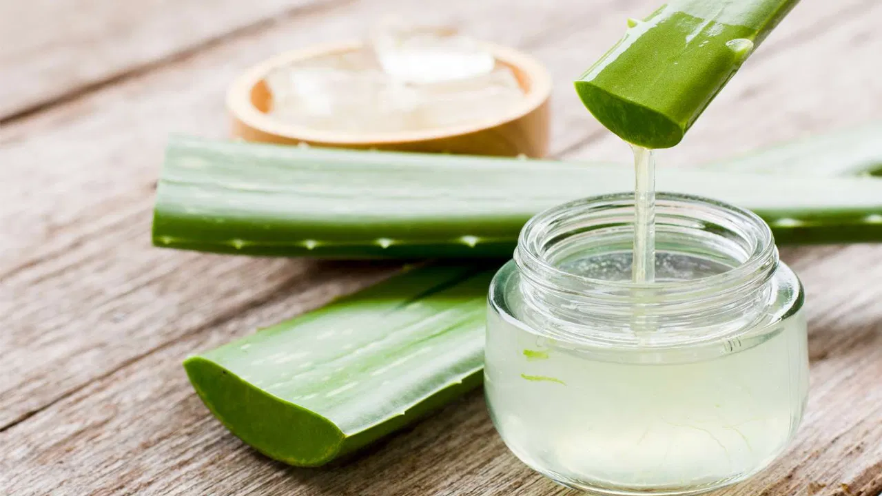Aloe Vera