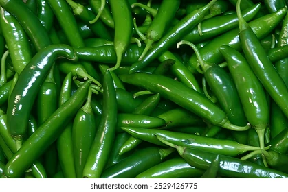 Green Mirchi